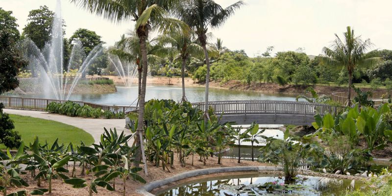 A tranquil scene at Fruit & Spice Park showcasing a central pond with a fountain, framed by vibrant park landscapes.