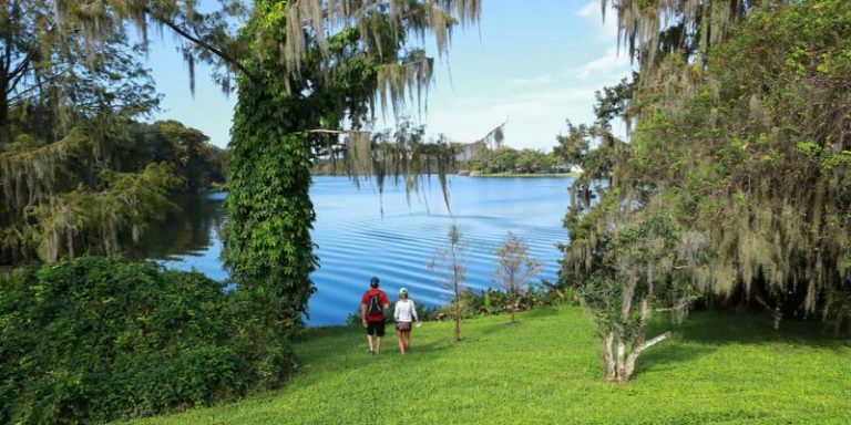 Visitors walk a grassy path at Leu Gardens, surrounded by trees and lush greenery.