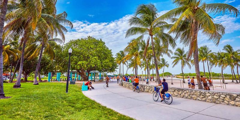 People stroll along a path lined with palm trees in Lummus Park, enjoying the vibrant outdoor atmosphere.