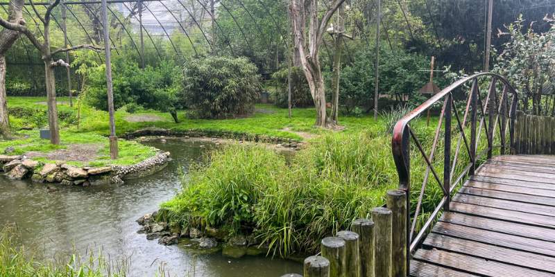 Bridge over stream in Ménagerie du Jardin des Plantes, lush greenery around.