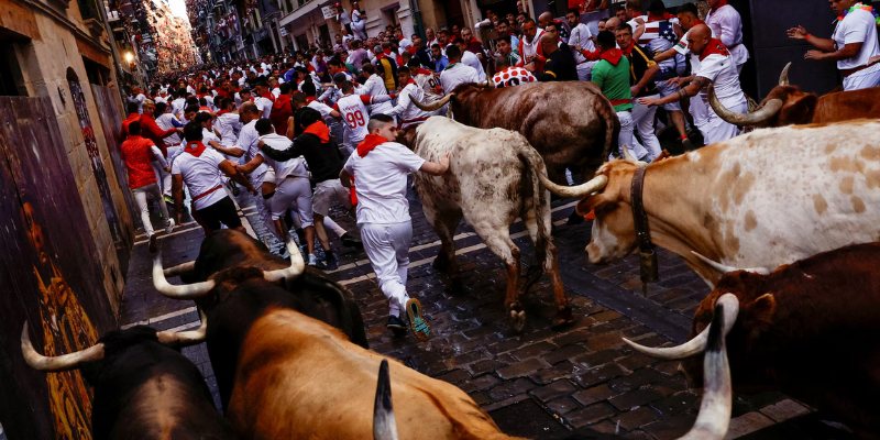 During the San Fermín Festival in Pamplona, a crowd in white and red walks alongside bulls, embodying a lively celebration.