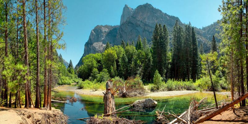 In Sequoia National Park, a gentle river winds through a vibrant forest, with trees and rocks creating a peaceful landscape.