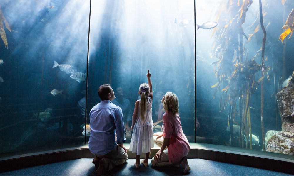 A family stands together, captivated by the vibrant marine life in the aquarium in Paris.