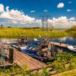 Airboat Rides Florida for Close-Up Views of Wildlife!