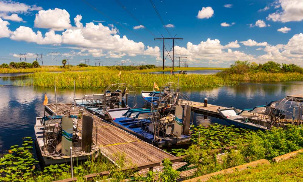 Several boats are anchored in a marsh, reflecting the surrounding nature in the still water.