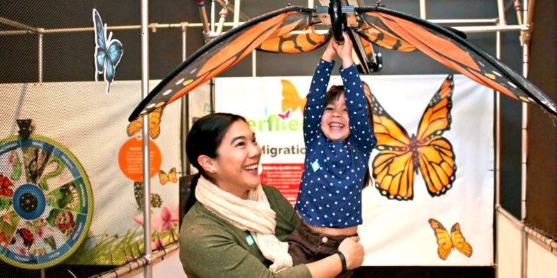 A woman lifts a child in front of a colorful butterfly display at the MOSI exhibit, showcasing vibrant wings.