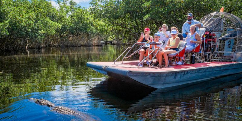 Tourists aboard a boat gaze at an alligator, enjoying the thrill of Captain Jack’s Airboat Tours in the wild.