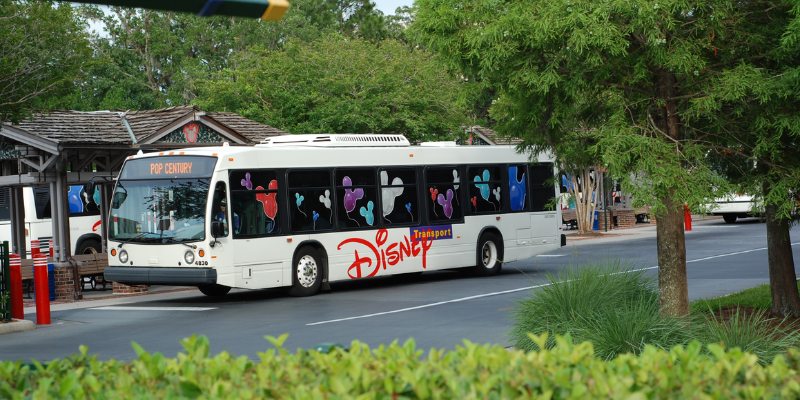 A tourist enjoying a sunny day at Disneyland, surrounded by vibrant attractions and summer crowds.