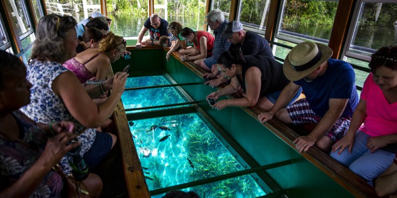 Visitors admire fish in a glass tank while enjoying the Glass Bottom Boat Tours at Silver Springs State Park.