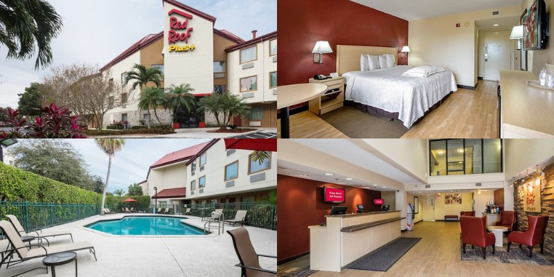 Red Roof Inn Plus+ West Palm Beach showcasing the entrance, hotel room, pool view, and lobby area