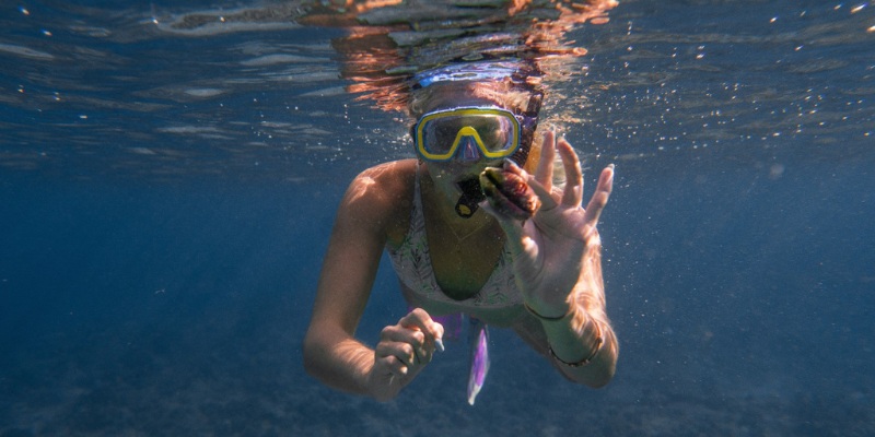 Underwater scene of a woman in a swimsuit snorkeling in Siesta Key, exploring colorful fish and coral.