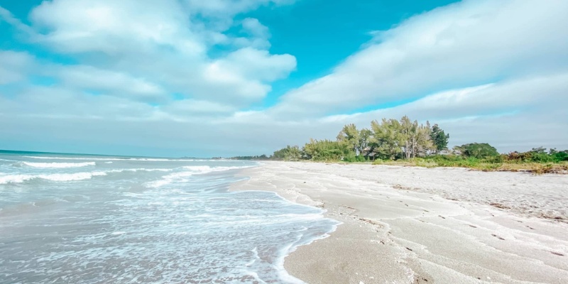 Turtle Beach, Florida: a tranquil sandy beach with waves crashing and trees providing shade along the shoreline.