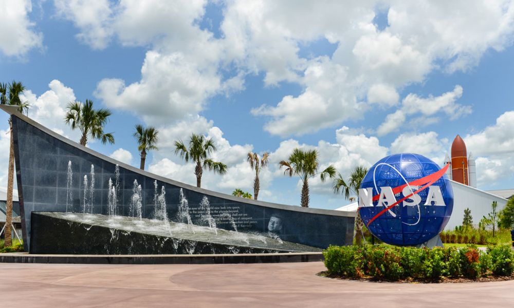 The NASA logo stands out against a backdrop of palm trees, symbolizing exploration amidst tropical scenery.