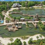 Best Time to Visit Gatorland for an Enjoyable Experience!