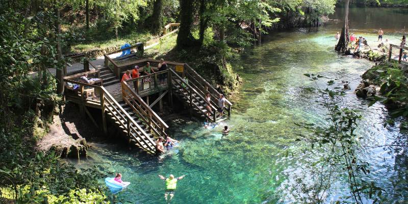 A group of people swimming in the clear waters at Blue Spring State Park, with vibrant green trees in the background.
