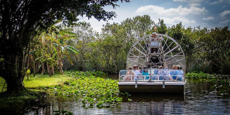 A group of friends on an airboat in the Everglades, navigating through the water with greenery all around.