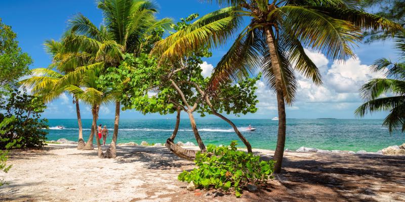 Key West beach scene featuring tall palm trees and a distant boat on the calm water under a clear sky.