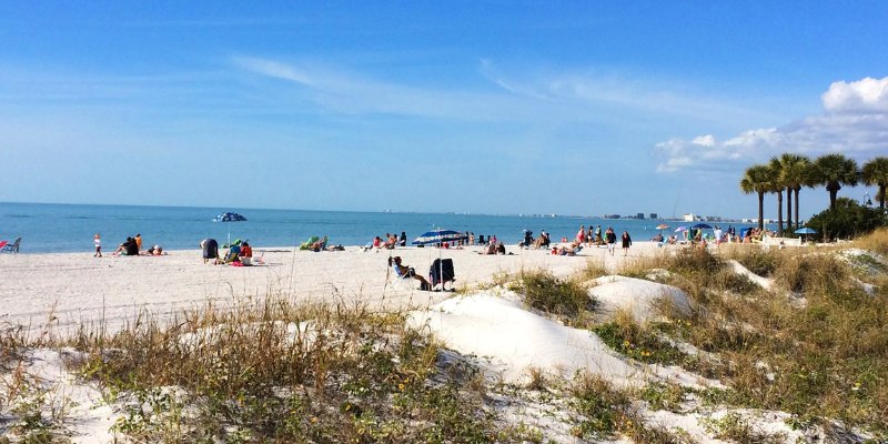 Pass-a-Grille Beach filled with visitors enjoying the sun, surrounded by tall palm trees and soft sand.