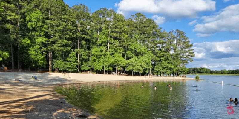 Swimmers splashing joyfully at beautiful Fort Yargo State Park Beach, nestled peacefully 'neath tall southern pines.