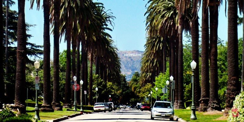 A tree-lined street with the Hollywood sign visible in the distance, capturing the iconic view from Hancock Park.