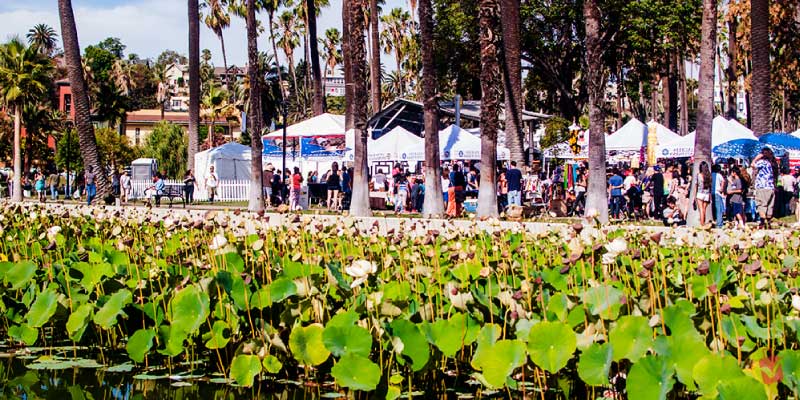 Such a peaceful Lotus Festival LA with pretty flowers blooming by the water and folks enjoying the day.