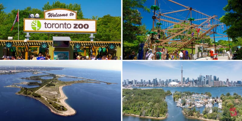A collection of four images highlighting Toronto Zoo, including the cityscape, tranquil lake, and diverse wildlife for nature lovers.