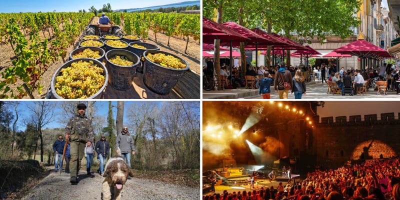 Collage of grape harvesting, outdoor cafes, truffle hunting, and concerts showcasing top things to do in Carcassonne during the fall season.