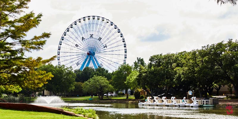 The massive Texas Star Ferris wheel at Fair Park towers over a scenic pond filled with white swan paddle boats and surrounding greenery.