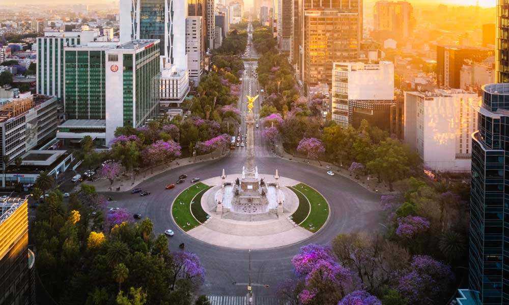Historical Landmarks in Mexico City: An aerial view of a grand monument roundabout, surrounded by purple flowering trees and city skyscrapers in Mexico City.