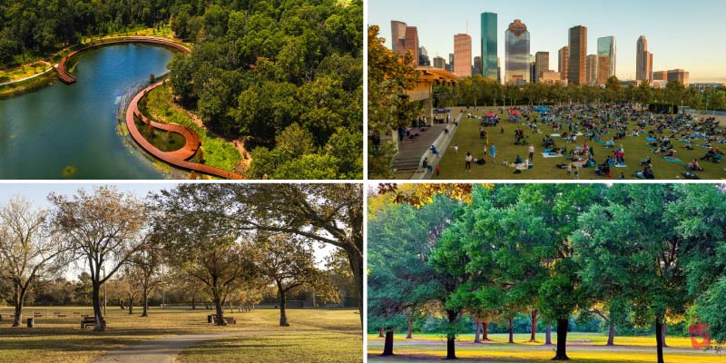 Expansive city parks with lush lawns and winding nature trails represent houston's green giants providing peaceful urban escapes for residents and tourists.