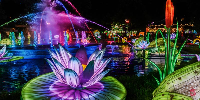 Vibrant lotus lanterns and colorful fountains illuminate the night at the Philadelphia Chinese Lantern Festival.