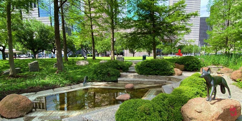 A peaceful landscape in Sam Houston Park featuring a fox sculpture near a small pond with lush greenery and Houston city skyscrapers in the background.