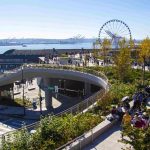 50+ Things to Do in Seattle World Cup 2026: Complete Guide