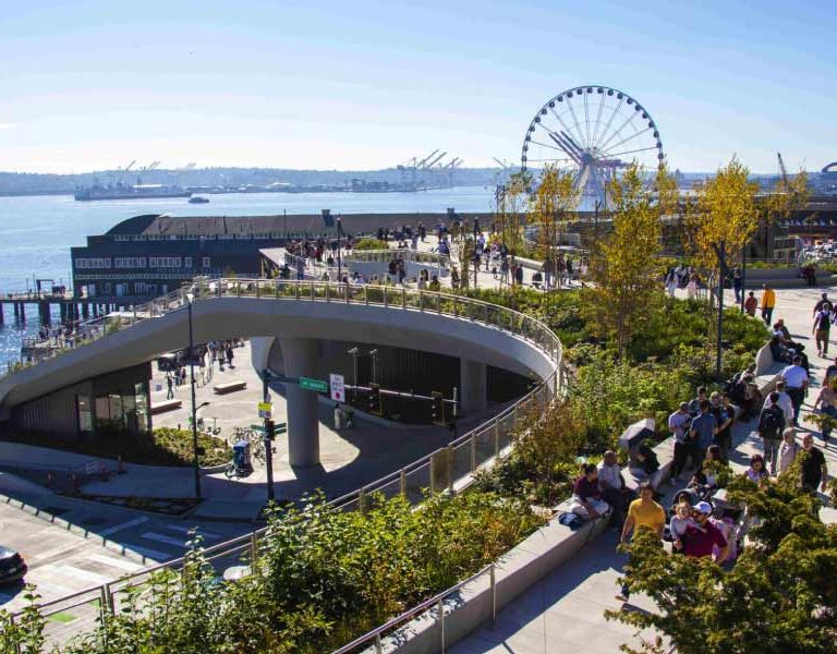 50+ Things to Do in Seattle World Cup 2026: Complete Guide