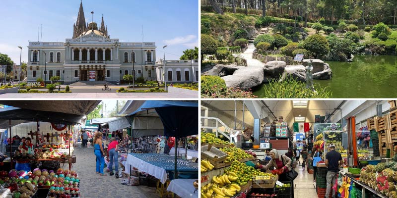 A collage of four images showing where locals go in Guadalajara - the historic Palacio de Gobierno, a serene Japanese garden, a lively street market, and an indoor fruit and vegetable market.