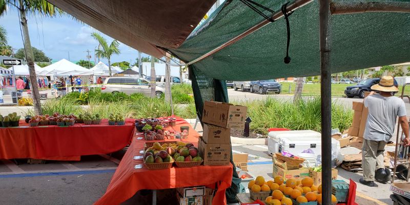 A vendor stocks fresh mangoes and citrus fruit under a green canopy at the bustling outdoor Cape Coral Farmers Market.