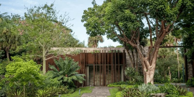 Lush tropical trees and plants surround a modern home in the Coconut Grove neighborhood.